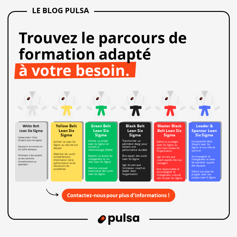 Formations Lean Six Sigma Green Belt Black Belt